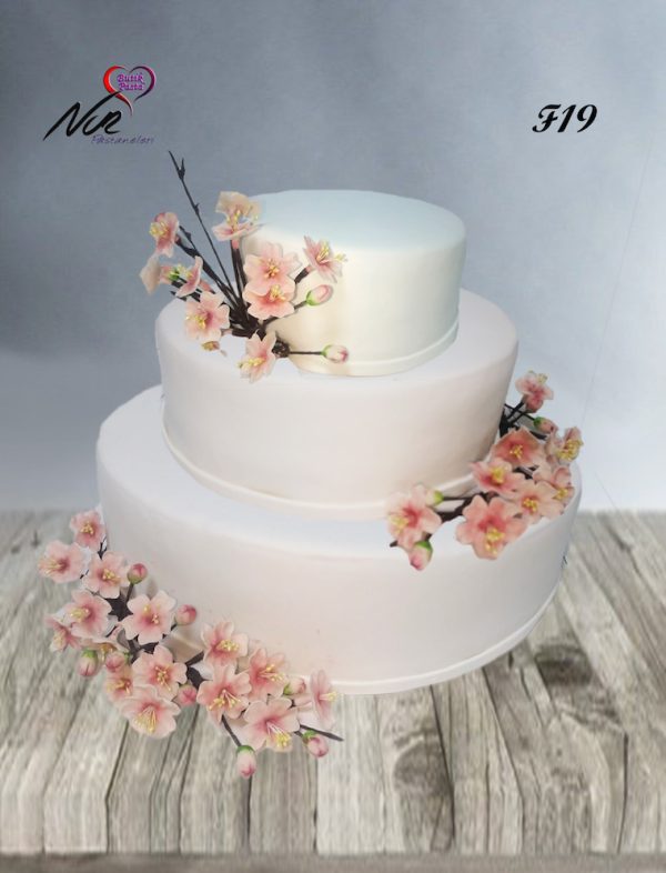 Butik Pasta F19
